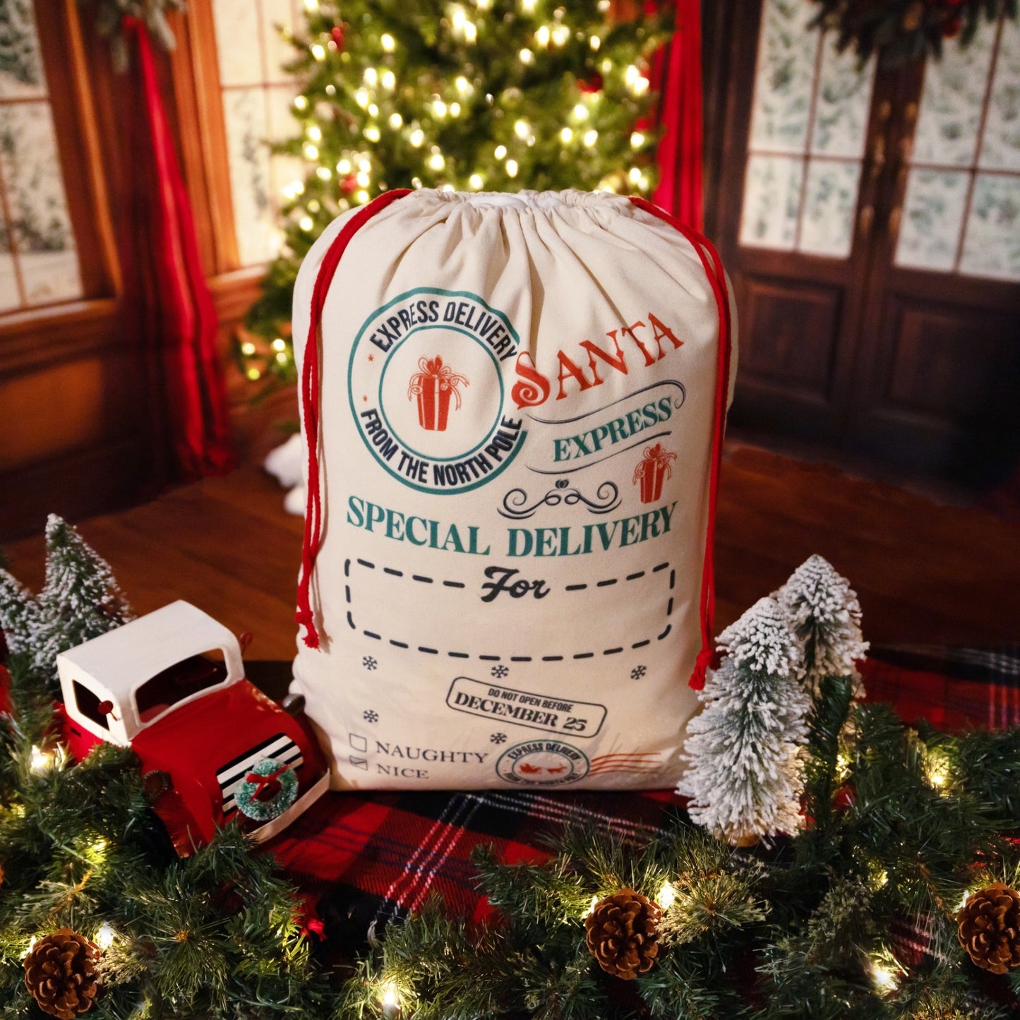 Custom Santa Sack