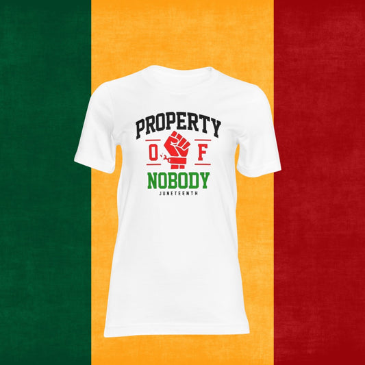 Property of Nobody